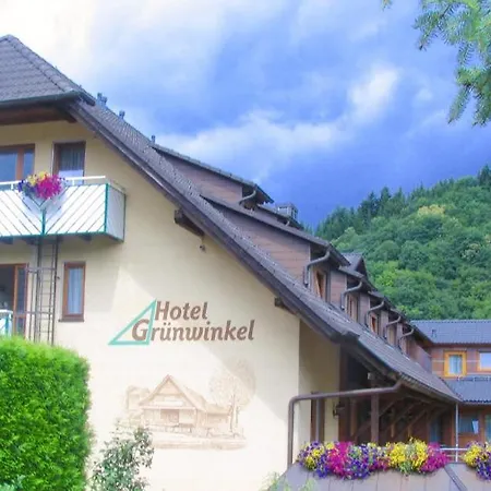 Hotel Gruenwinkel 3*