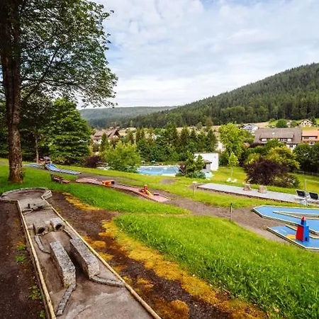 Schwarzwald Hotel 3*