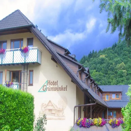 فندق Gruenwinkel 3*